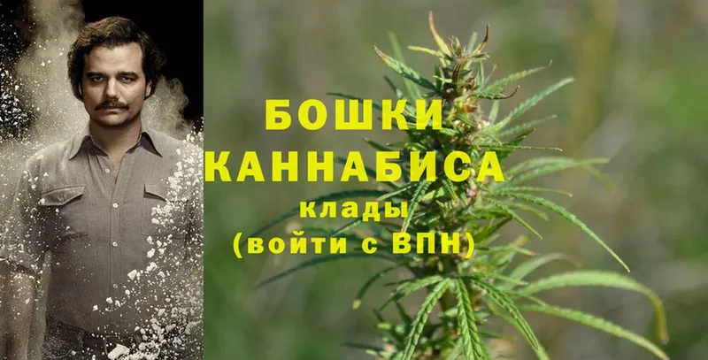 где найти   Малоярославец  Бошки марихуана SATIVA & INDICA 